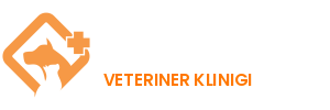 Pati Dostu Veteriner Kliniği